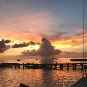 Meet your Posher, Joe